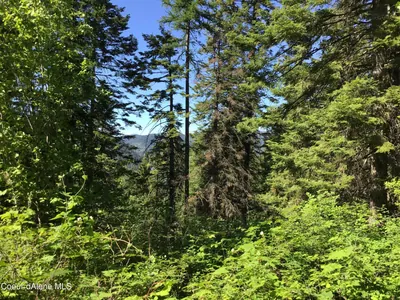 Property 26-1578 - Photo 1
