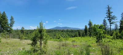 Property 26-5087 - Photo 6