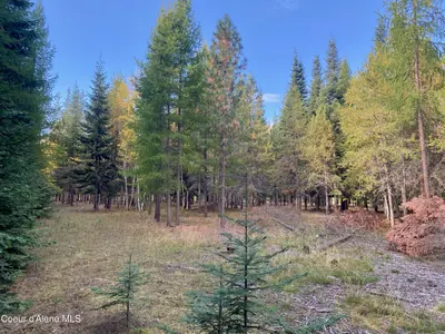 Property 26-2687 - Photo 21