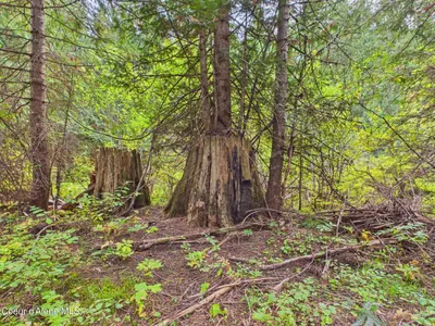 Property 26-9960 - Photo 5
