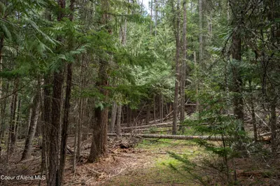 Property 26-4800 - Photo 5