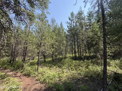 Property 26-8234 - Photo 7