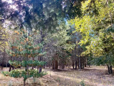 Property 26-2687 - Photo 29