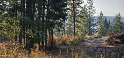 Property 26-7600 - Photo 39