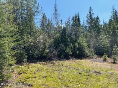Property 25-4559 - Photo 17