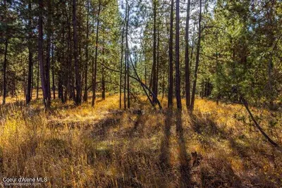 Property 26-10622 - Photo 31