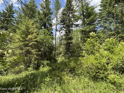 Property 26-2340 - Photo 4