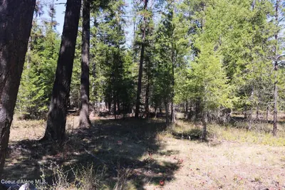 Property 25-8700 - Photo 12