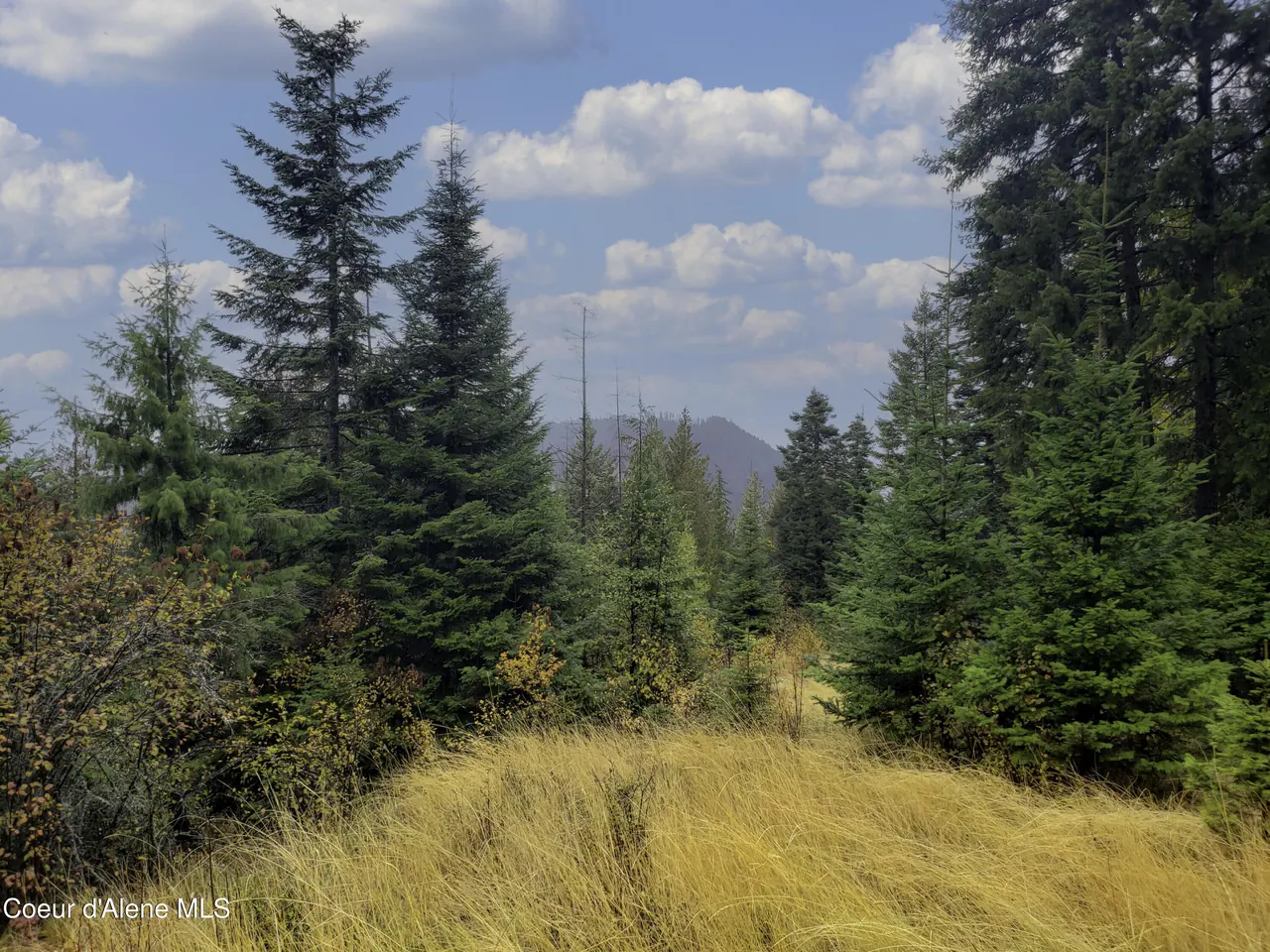 Property 26-5808 - Photo 1