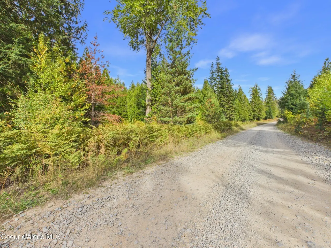 Property 26-10056 - Photo 1