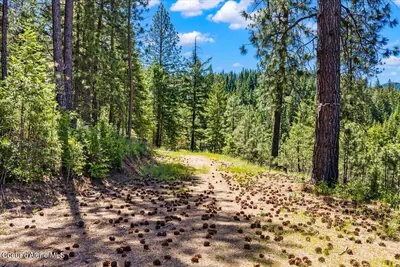 Property 26-6292 - Photo 5