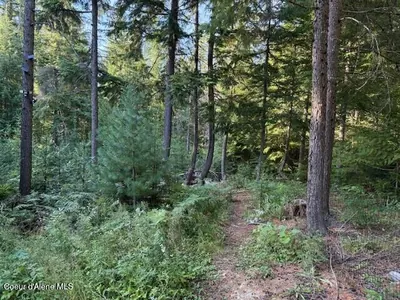 Property 25-8898 - Photo 5