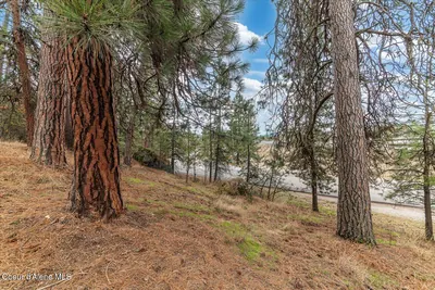 Property 26-8541 - Photo 26