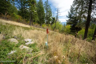 Property 26-9914 - Photo 23