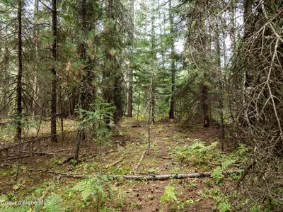 Property 25-8859 - Photo 9