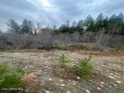 Property 25-11234 - Photo 14