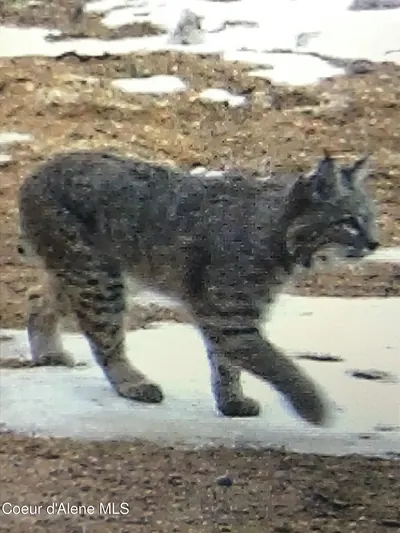 Property 26-8568 - Photo 51