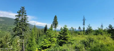 Property 26-5087 - Photo 18