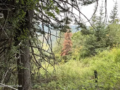 Property 26-7987 - Photo 22