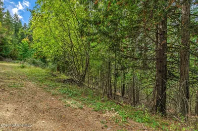 Property 26-8613 - Photo 5