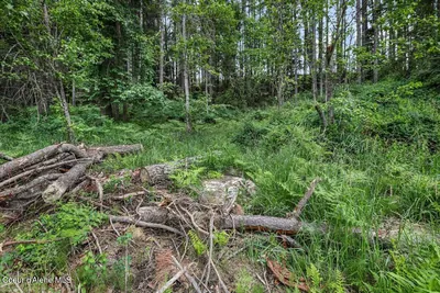 Property 26-6029 - Photo 39