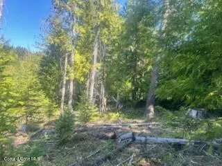 Property 26-3013 - Photo 5