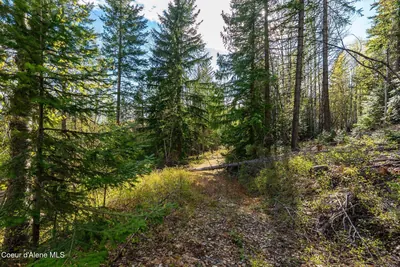 Property 26-4342 - Photo 50