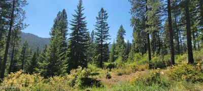 Property 26-2454 - Photo 9
