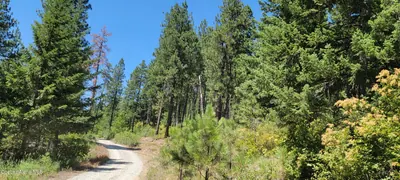 Property 26-2454 - Photo 12