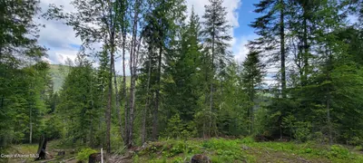 Property 26-5575 - Photo 10