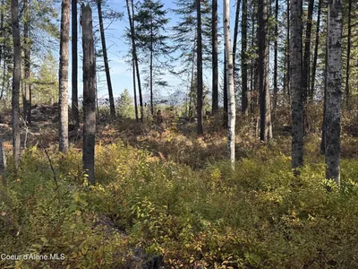Property 26-10465 - Photo 7