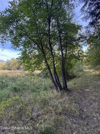 Property 26-10583 - Photo 4