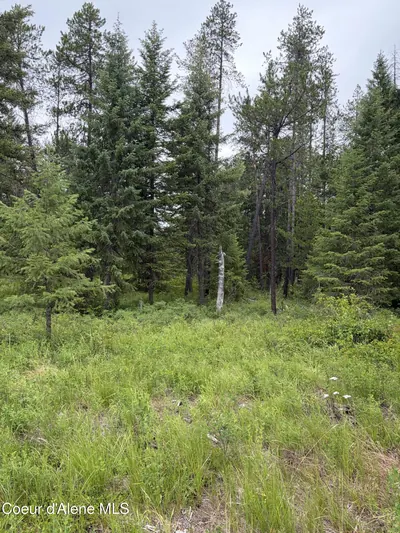 Property 26-6619 - Photo 3