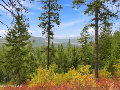 Property 26-8724 - Photo 33